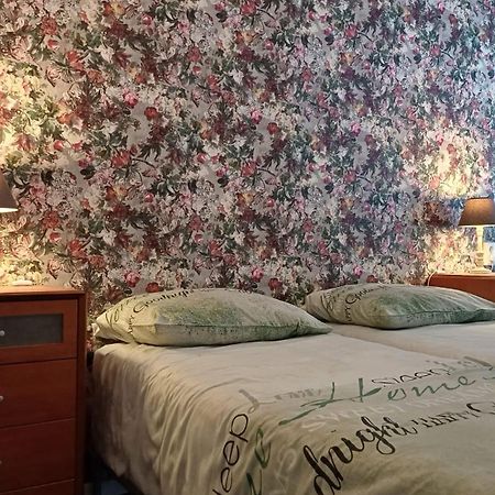Haus Stefanie Elvire Apartment Altenberg ภายนอก รูปภาพ