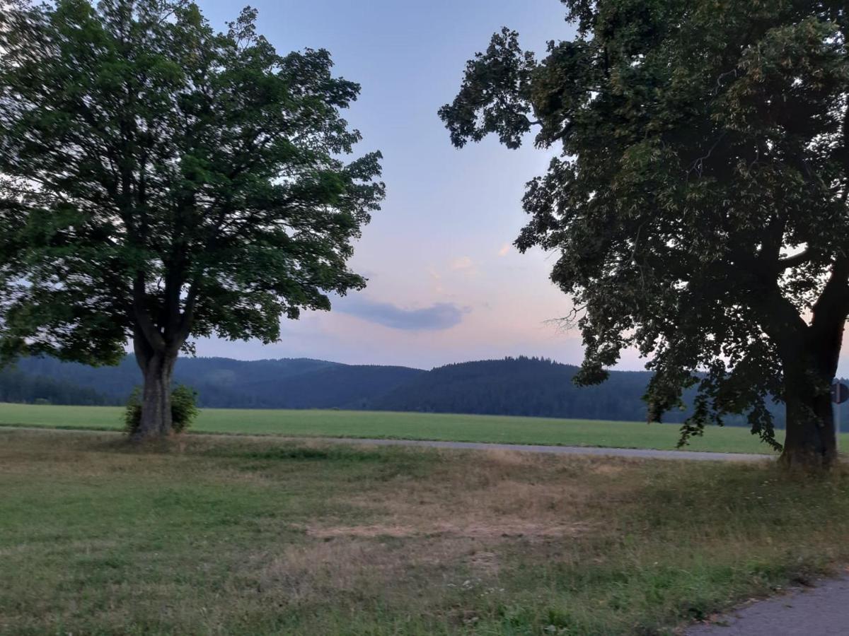 Haus Stefanie Elvire Apartment Altenberg ภายนอก รูปภาพ
