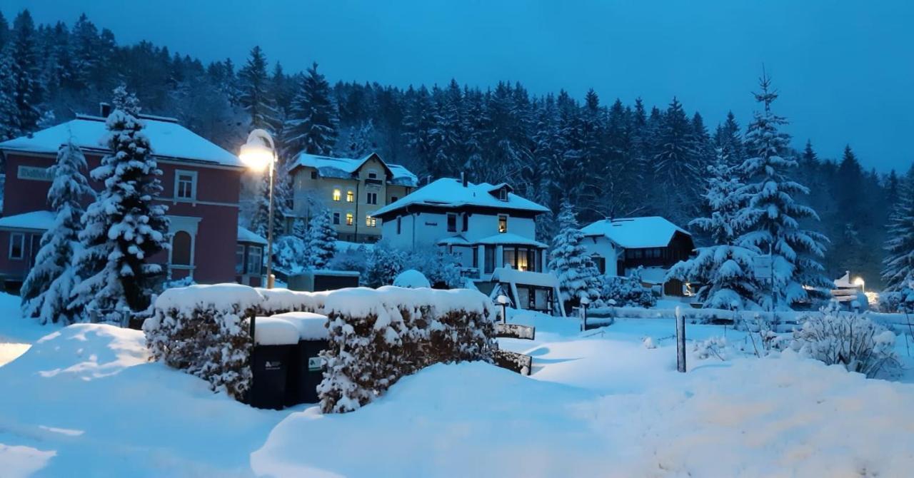 Haus Stefanie Elvire Apartment Altenberg ภายนอก รูปภาพ