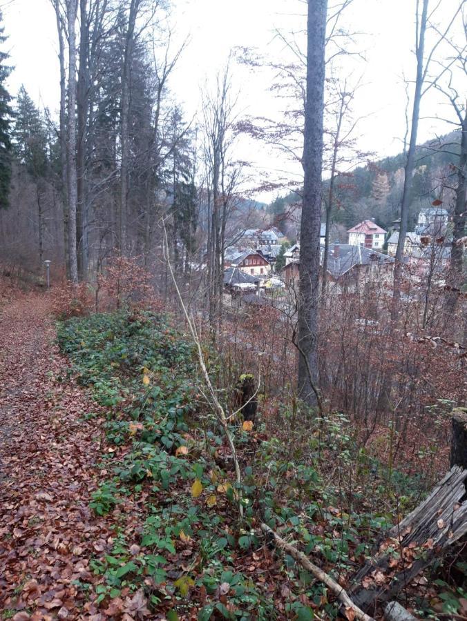 Haus Stefanie Elvire Apartment Altenberg ภายนอก รูปภาพ