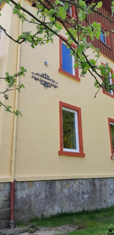 Haus Stefanie Elvire Apartment Altenberg ภายนอก รูปภาพ