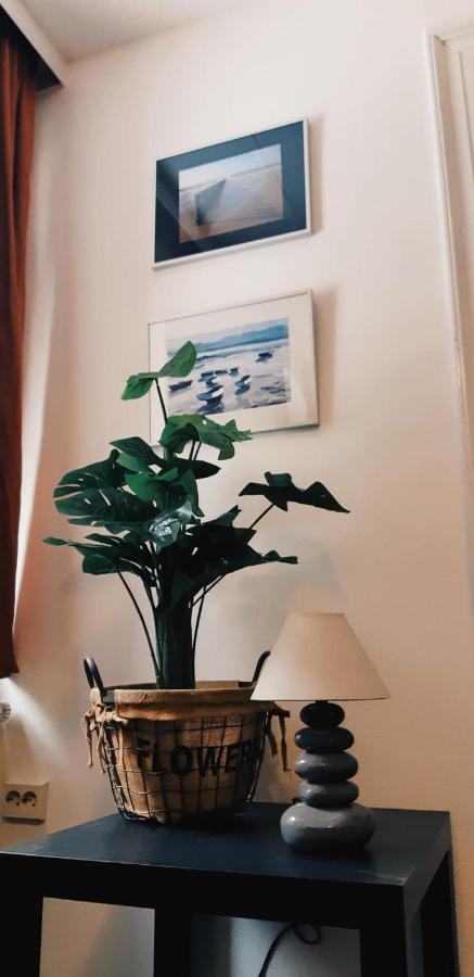 Haus Stefanie Elvire Apartment Altenberg ภายนอก รูปภาพ