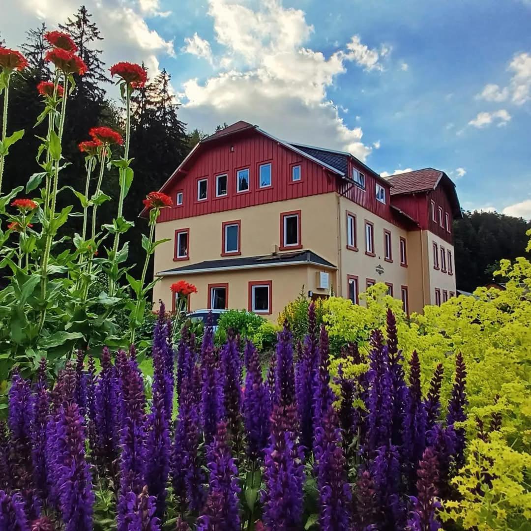 Haus Stefanie Elvire Apartment Altenberg ภายนอก รูปภาพ